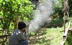 Đang hái rau trong rừng, một người đàn ông ở Nghệ An bị bắn tử vong