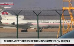 Báo Nhật: Nga dường như đang cho hồi hương lao động Triều Tiên