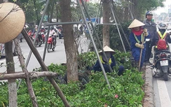 Cải tạo cảnh quan cũng góp phần đảm bảo ATGT