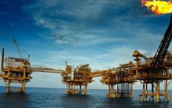 PVEP sẽ hoàn thành sản lượng khai thác dầu khí năm 2019 trước thời hạn