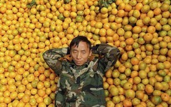 Nga không tin tưởng chất lượng kiểm dịch của Trung Quốc