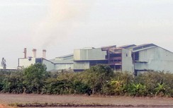 Vi phạm nghiêm trọng, một nhà máy đường ở Hậu Giang bị "tuýt còi"