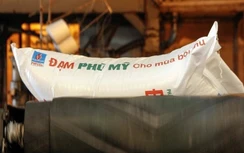 Đạm Phú Mỹ lên kế hoạch đạt lãi sau thuế 433 tỷ đồng trong năm 2020