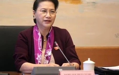 Có Chủ tịch Quốc hội, tổ đại biểu vẫn vắng quá nửa