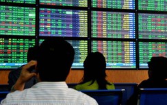 Chứng khoán ngày 25/12: MSN tiếp tục củng cố sắc xanh cho VN-Index