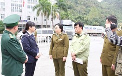 Làm hàng rào dây thép gai ngăn chặn xuất lậu lợn qua Trung Quốc