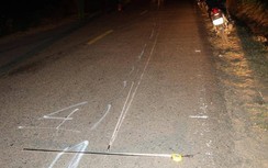 Thông báo truy tìm nghi phạm đi xe máy tông chết người đi bộ rồi bỏ trốn