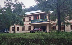 Giáng chức Hạt trưởng kiểm lâm vì để rừng bị phá