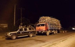 Gia Lai: Xử phạt 3,7 tỉ đồng hàng trăm trường hợp vi phạm giao thông