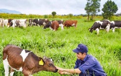 Hàng loạt chính sách có hiệu lực từ đầu năm 2020