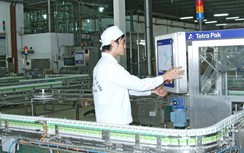Vinamilk và chiến lược đưa cao nguyên Mộc Châu thành thủ phủ bò sữa của VN