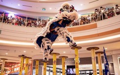 Mãn nhãn với màn tranh tài của 30 đội tại Giải lân sư tranh Cup Number 1