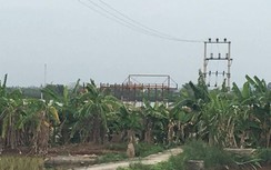 Ai "chống lưng" cho bến bãi không phép hoành hành ở Tiên Lãng, Hải Phòng?