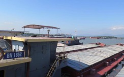 Bất thường tạm giữ 35 tàu ở Quảng Ninh