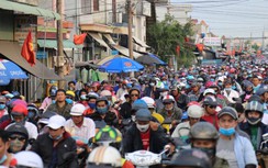 Chọn phương án nào xây dựng cầu Cát Lái?