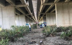 Đi chăn bò, phát hiện thi thể phụ nữ dưới gầm cầu cao tốc