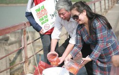 Thả cá chép ngày ông Công, ông Táo thế nào cho đúng?