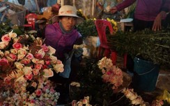 Nhộn nhịp chợ hoa Tết Lũng đêm giữa lòng phố Cảng