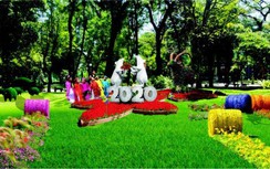 Hội hoa Xuân TP.HCM sẽ trưng bày hơn 4.000 loại hoa, chim cảnh