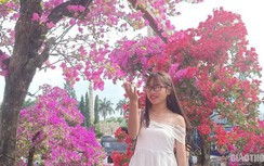 Dòng người đổ về chợ hoa Tết Đà Nẵng chiêm ngưỡng sắc xuân