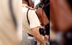 Thực hư tình huống người mang sắc phục CSGT "lên gối" với người vi phạm?