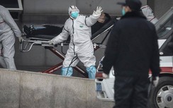 Tin mới nhất về dịch bệnh do vi rút Corona mới gây ra