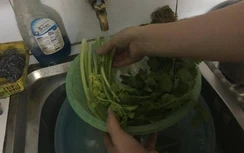 Hàng nghìn hộ dân Thái Bình chỉ có nước sinh hoạt đến mùng 5 Tết