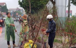 30 Tết, trời đổ mưa đá, người bán đào buồn hiu hắt, thu gốc về trồng