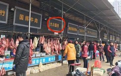 Báo Nga: Xuất hiện ảnh về nơi đầu tiên có virus Corona