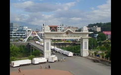 “Mở hàng” thành công hơn 1.300 tấn nông sản xuất nhập khẩu ngày mồng 2 Tết