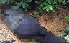 Tìm thấy thi thể và thư tuyệt mệnh nghi phạm bắn 3 mẹ con thương vong