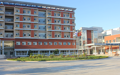 Về quê ăn Tết, nữ tiếp viên hàng không nhập viện cách ly nghi nhiễm Corona