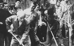 Tết cuối cùng bận rộn của Bác Hồ