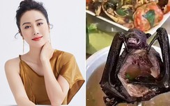"Mạnh Lệ Quân" Diệp Tuyền tố NSX ép ăn thịt dơi giữa đại dịch Corona
