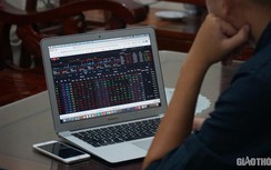 Chứng khoán ngày 30/1: VN-Index “bốc hơi” gần 32 điểm phiên đầu năm Canh Tý