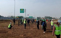 Ngành GTVT Quảng Ninh ra quân trồng cây ven đường cao tốc