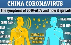 Cách phân biệt virus Corona và cảm, sốt thông thường