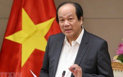 Lập Tổ công tác, báo cáo Thủ tướng hàng ngày về phòng, chống dịch Corona