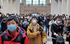 Virus nCoV: WHO công bố tình trạng khẩn cấp toàn cầu, Việt Nam ứng phó sao?