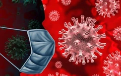 Tin mới nhất về virus Corona: 304 ca chết, 13.831 ca nhiễm, 17.988 ca nghi