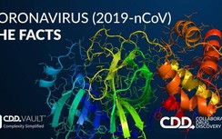 Chống virus Corona: Nhật Bản có bước tiến mới