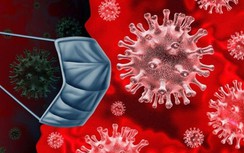 Tin tức 24h nóng nhất, mới nhất ngày hôm nay 2/2/2020