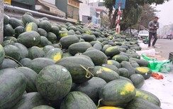 Dưa hấu rớt giá thảm, có nơi chỉ còn 1.000 đồng/kg vì mối lo virus nCoV