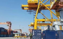 Hãng tàu, cảng biển thiệt hại triệu USD vì dịch Corona