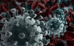 "Quan hệ tình dục nhiều không chống được virus Corona còn gây nhiều hệ lụy"