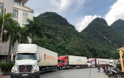 Ngay khi dịch nCoV bùng phát, cán cân thương mại thâm hụt 232 triệu USD