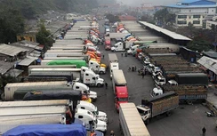 Thủ tướng cho phép giao nhận hàng hóa tại cửa khẩu, yêu cầu kiểm dịch