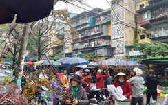 Giữa mùa dịch nCoV, đào mini xuống chợ “hút khách” ngày rằm tháng Giêng