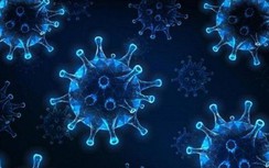 Việt Nam nuôi cấy thành công virus nCoV giúp rút ngắn thời gian xét nghiệm