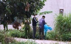 Ninh Bình: Tá hỏa phát hiện một thi thể trong vườn chuối